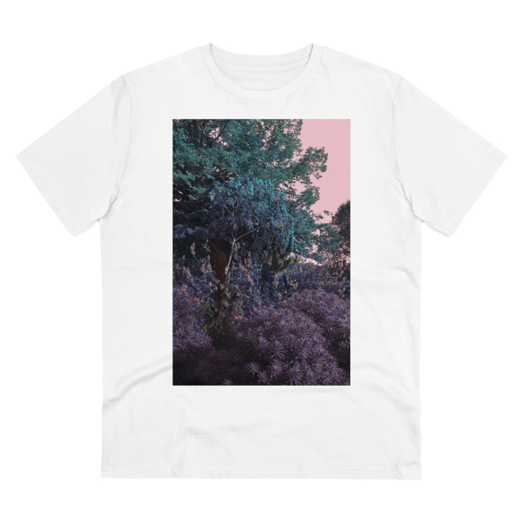#2 Metamorphosis