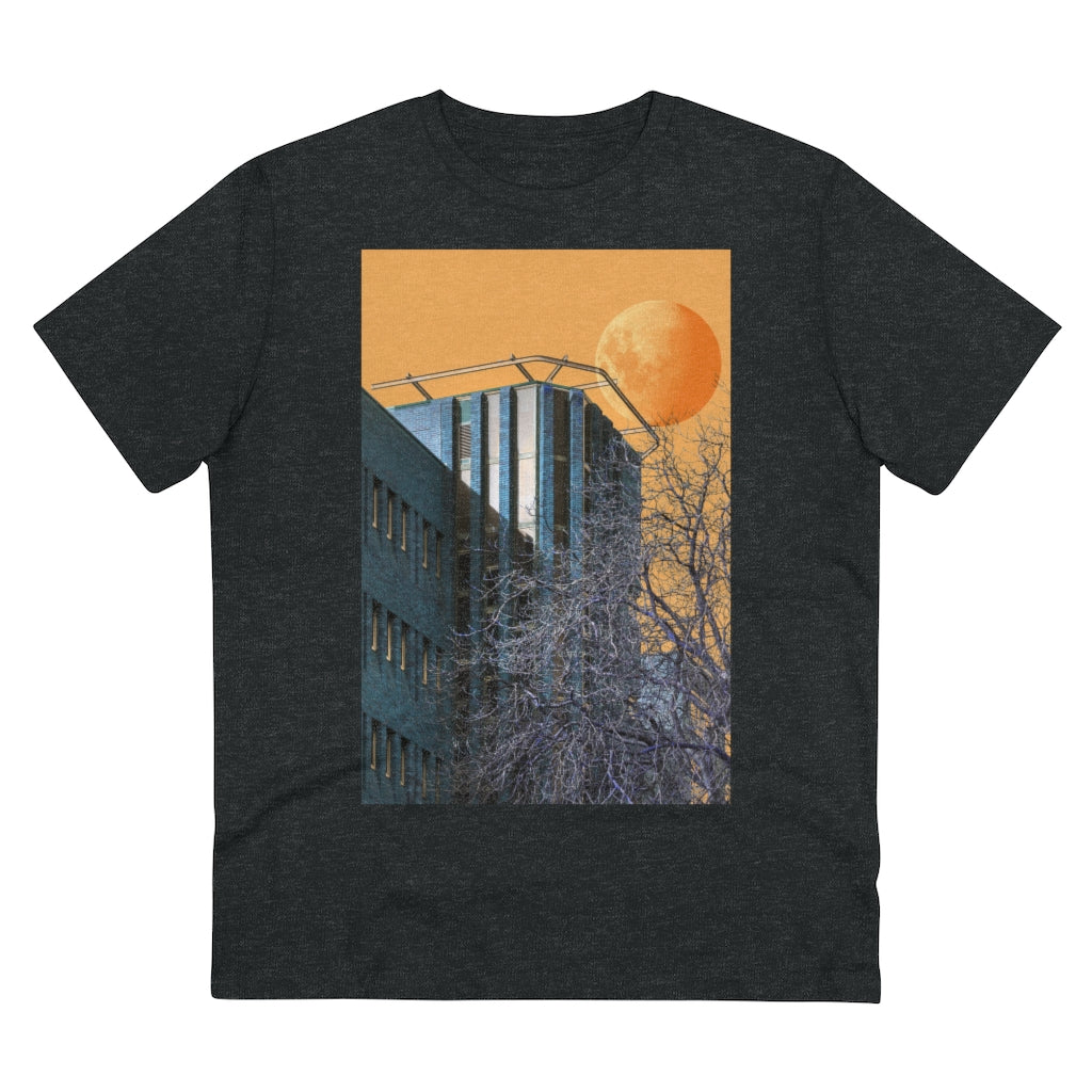 #1 Metamorphosis