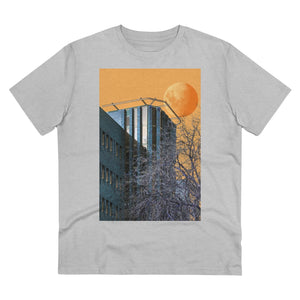 #1 Metamorphosis