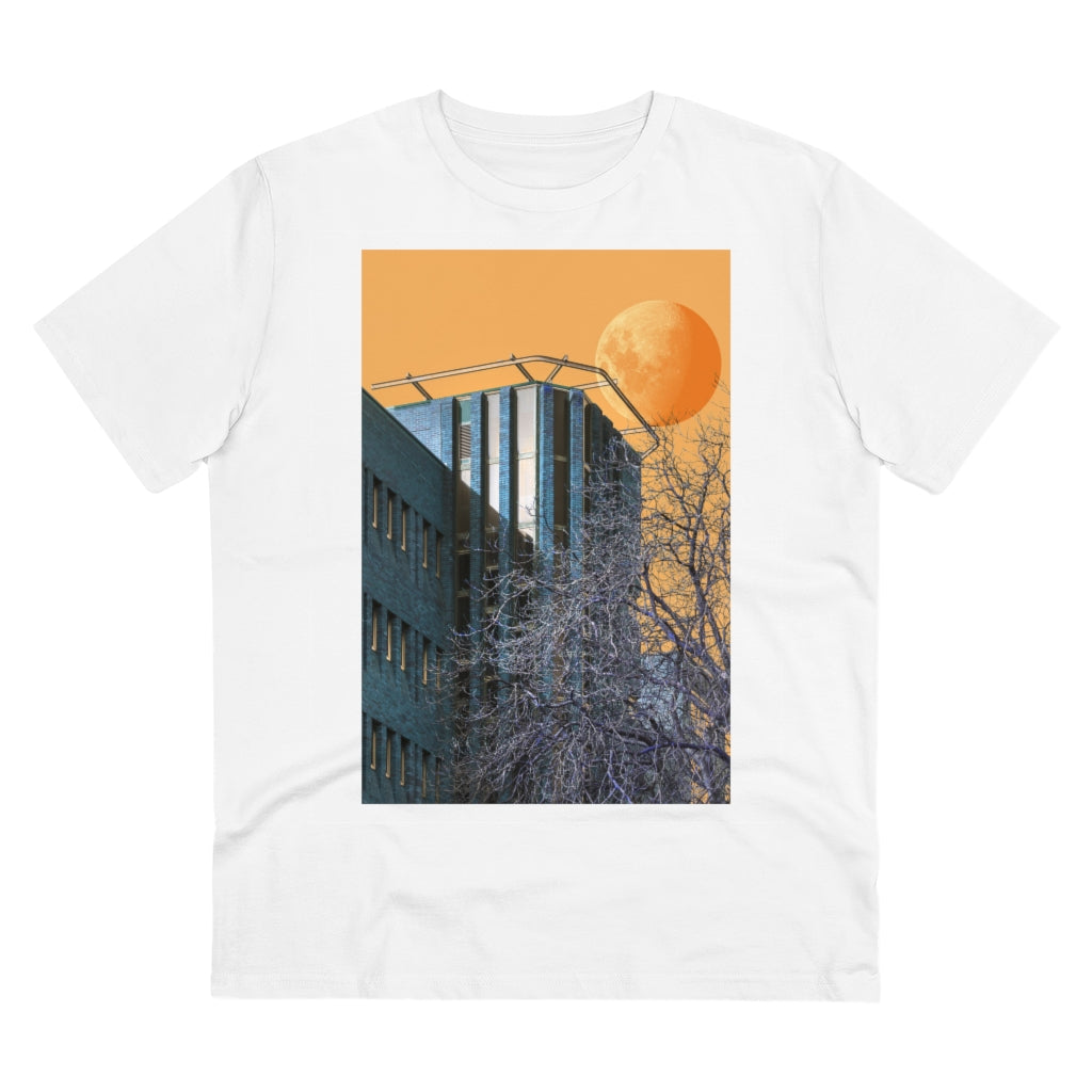 #1 Metamorphosis