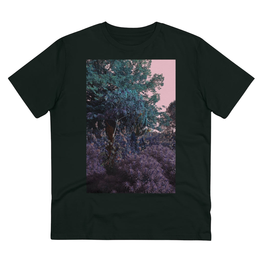 #2 Metamorphosis
